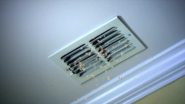 Best Commercial HVAC Duct Cleaning  in Landis, NC