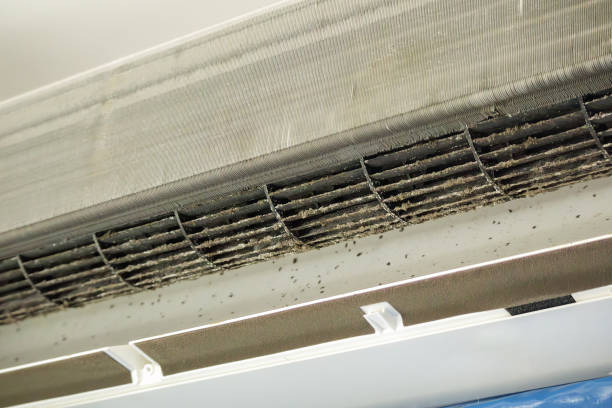 Best Best Air Duct Cleaning Company  in Landis, NC